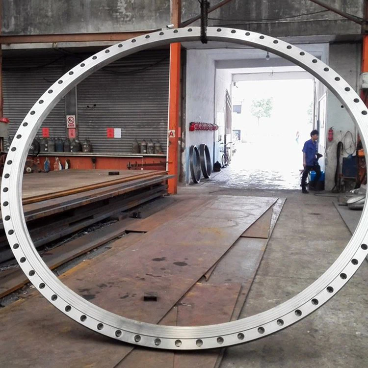 Grade 202 Stainless Steel Flange