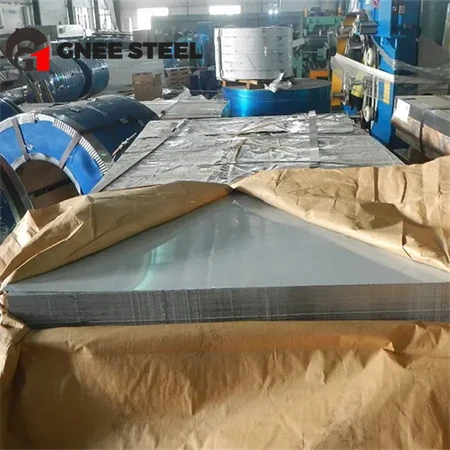 Stainless Steel Plate49