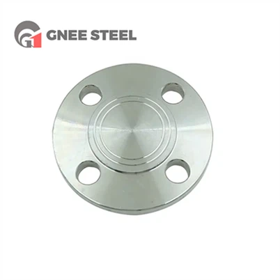 202 স্টেইনলেস স্টীল ফ্ল্যাঞ্জ কভার