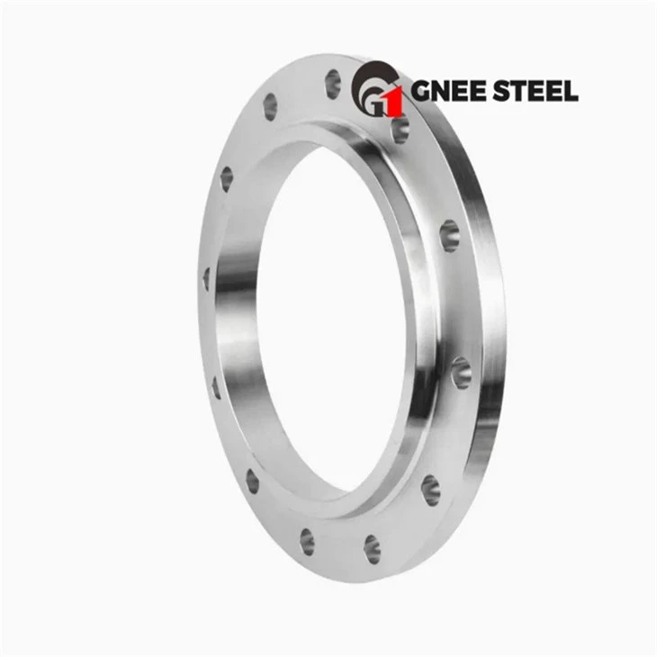 Stainless Steel 316 316L 316Ti Flanges